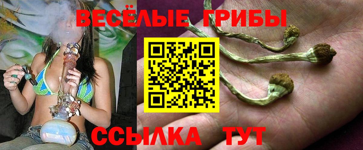 Псилоцибиновые грибы Magic Shrooms Благодарный